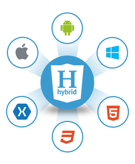 Hybrid Mobile app