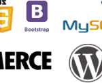 Web Development Skills
