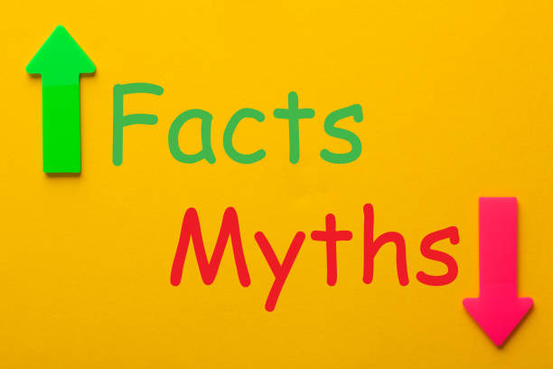 Common Myths About Web Design